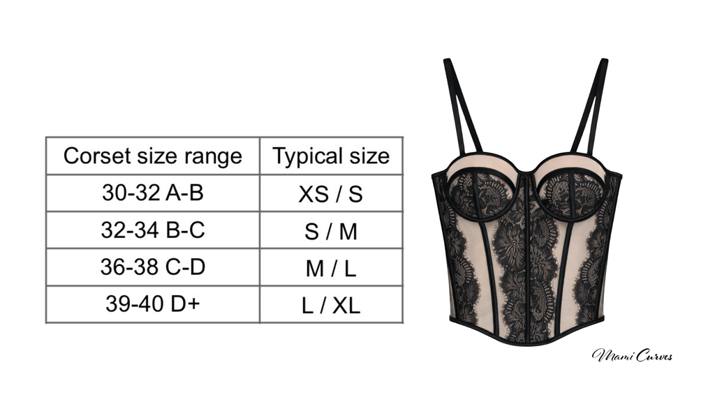 Lace Silhouette Corset Bustier